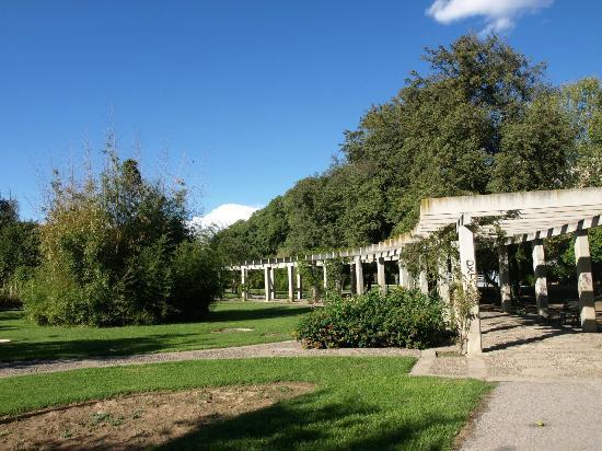 Parco dei principi